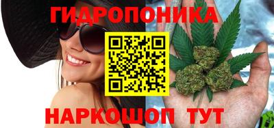 дурь Новокубанск
